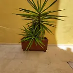 Ai Carrettieri 3*